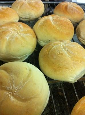 Round rolls, for sandwiches