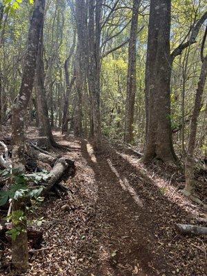 Well-maintained trail