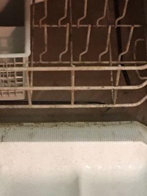 Water stuck in dishwasher (that we never used)! Smelled like a sewer.