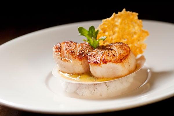 Seared Sea Scallops with turmeric pancetta cream sauce and Parmesan crisp.