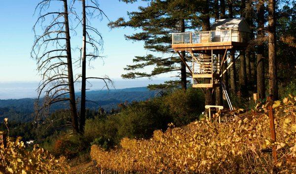 Come stay in our treehouse!