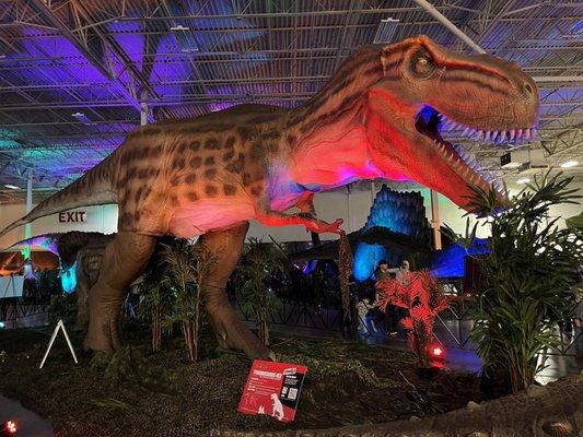 Jurassic Quest. T-Rex!!!!  Largest carnivore. Life size. Haha