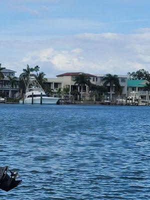 View from the tiki bar