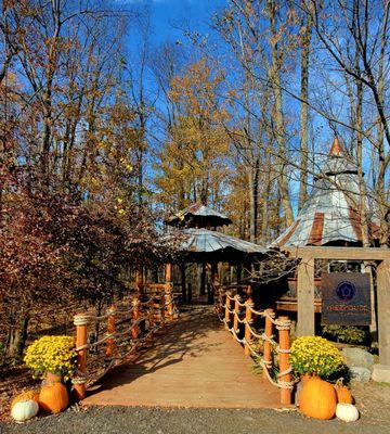 The Blueberry Treehouse Farm