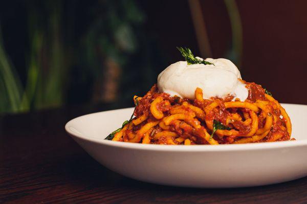 Arrabiata with burrata