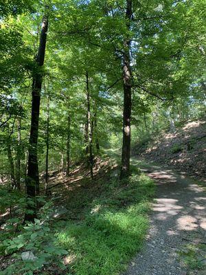 Mohonk Preserve Trail