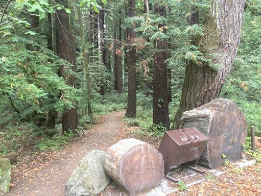 Cheatham Grove Loop Trail