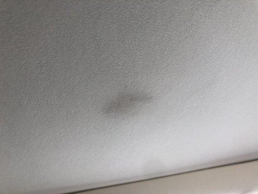 Oil smudges on my headliner.