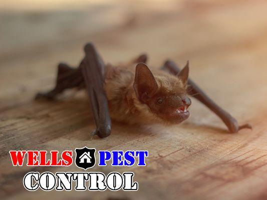 Wells Pest Control