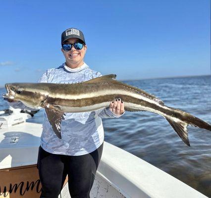 Inshore Cobia