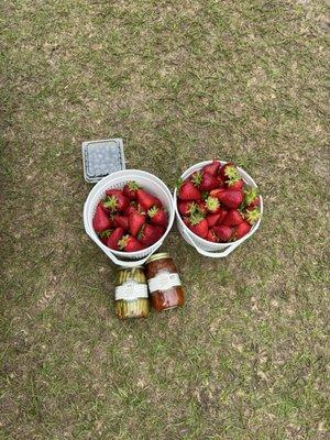 What we left with two baskets; blueberries and Jarred pickled string beans and a spiced mix of peppers and tomatoes, very nice taste.