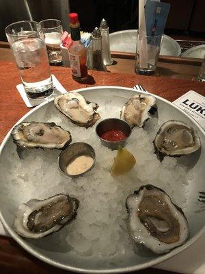 P&J oysters at Lukes.