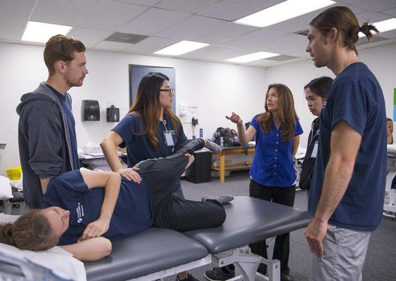 Physical Therapist Assistant students train and practice proper techniques.