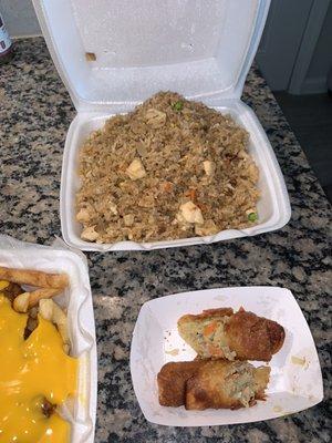 Chicken Fried Rice and Egg Roll