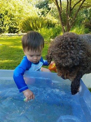 My nephew with his Golden Xpress dog