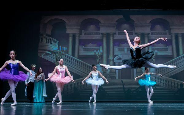 Sleeping Beauty Ballet