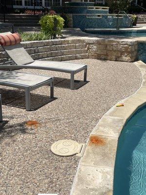 Vomit and a used tampon has been by the Nolina flats pool for nearly a week. Gross.