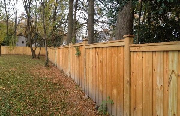 Our fence