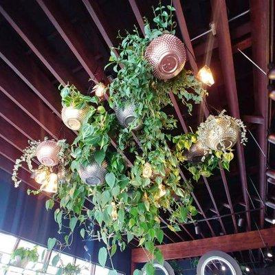 Hanging plant display overhead.