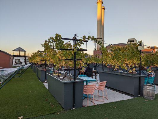 Sitting area among the vines