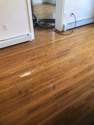 Subfloor Odor removal Services