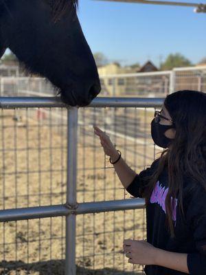 My daughter petting a horse.