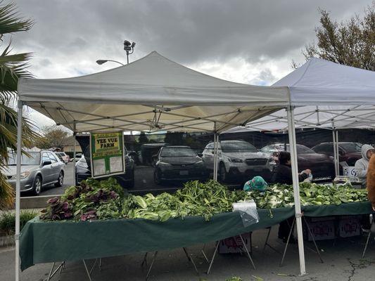 Irvington Farmers Market, Fremont, CA.