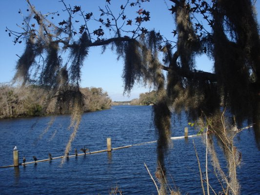 St. John's River