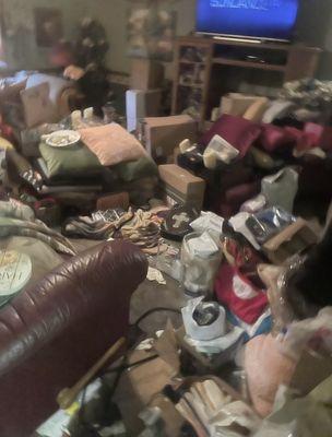 Before pic of living room