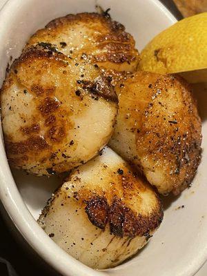 Scallops