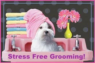 Stress Free Grooming!  We groom one fur friend at a time, similar to a hair cut appointment for you...no waiting in cages!