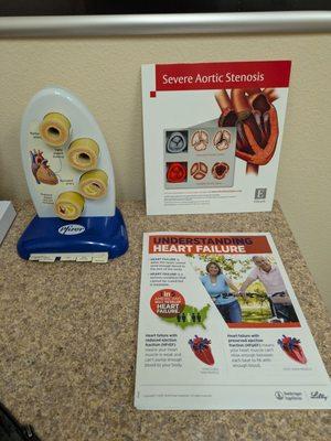 Pamphlets and a 3D model of heart valves