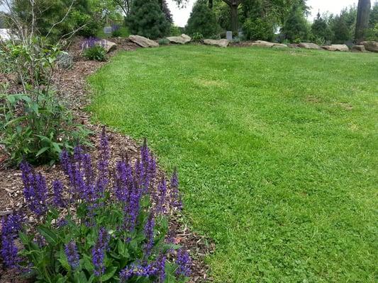 Green Burial Lawn: complies with green standards for minimal environmental impact