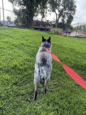 One of her many walks during her stay.