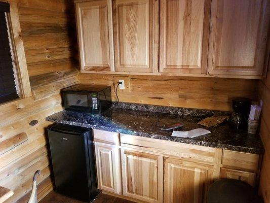 Kitchen area with a mini fridge and a microwave oven.