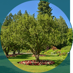 Arborist Vancouver WA