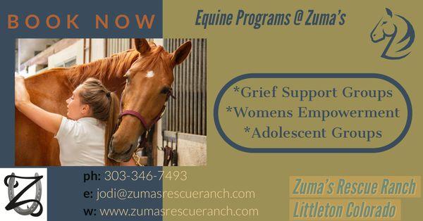 Equine Therapy Groups for Kids and Adults, Depression Grief and more