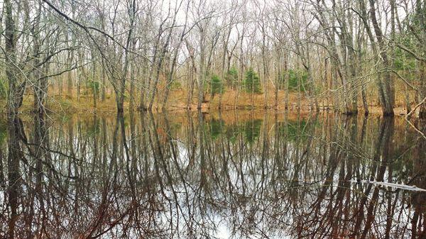 Kettle Pond - mirror-like and mesmerizing