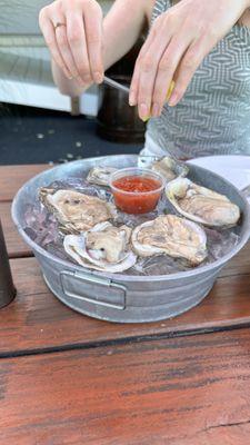 half dozen oysters