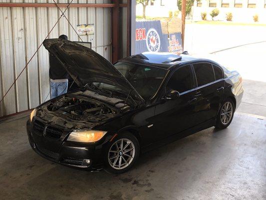 Smog procedure on a BMW