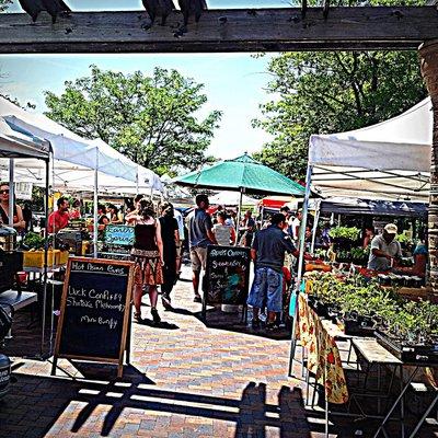 Sunny morning at the Market.