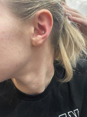 conch piercing