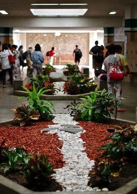 Our school hallways are vibrant and full of life as happy students go from class to class.