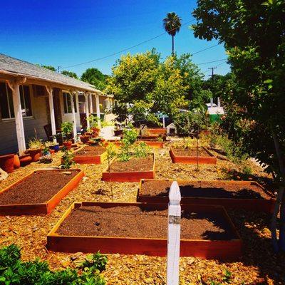 Garden beds