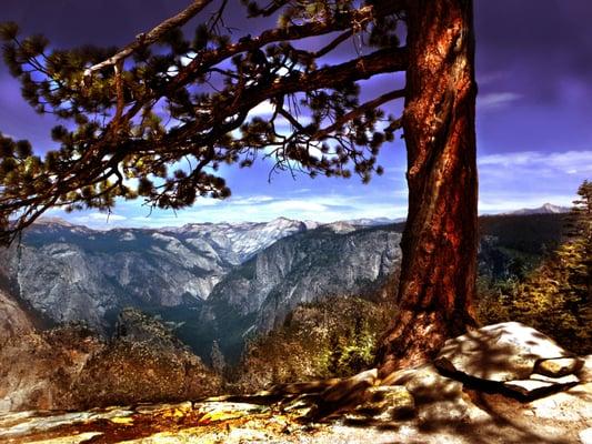 Scenics in Yosemite