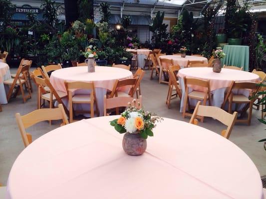 A wedding reception in our green house