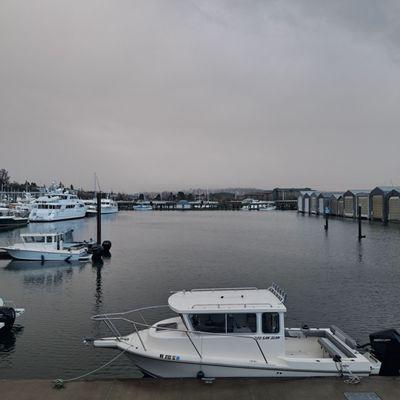 Dock with dense fog afar