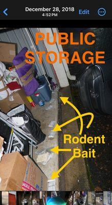 Public Storage Rodent Infestation Problem