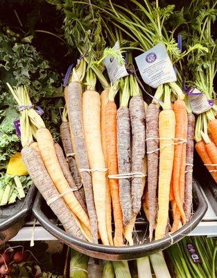 Multicolored carrots