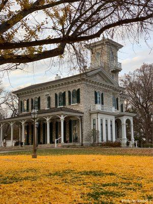 Yellow leaves from the Ginkgo tree blanketing the grass in front of the Oakland House Museum. : November 20, 2021